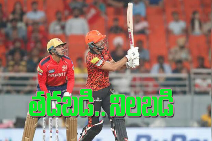 IPL 2024 SRH vs PBK: తడబడి.. నిలబడి