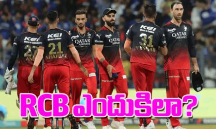 IPL 2O24 RCB