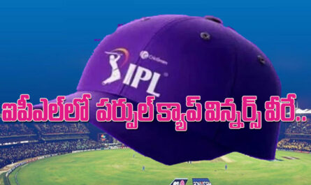 IPL PURPLE CAP WINNERS