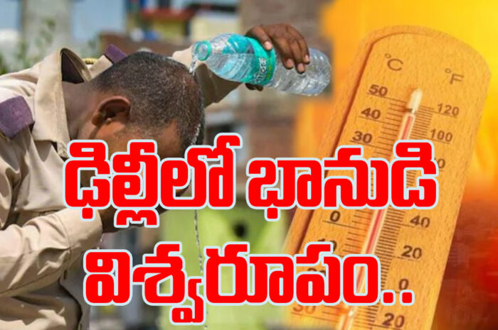 Sunny in Delhi: ఢిల్లీలో భానుడి విశ్వరూపం.. 52.3 డిగ్రీల ఉష్ణోగ్రత నమోదు