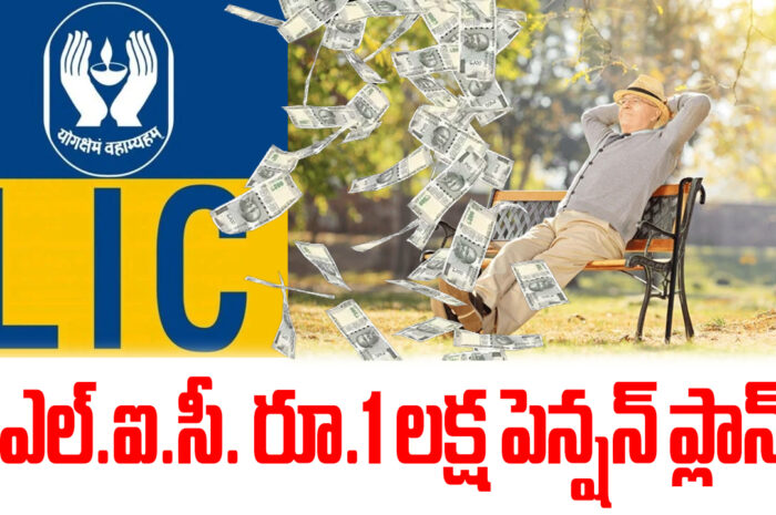 LIC Saral Pension Plan: ఎల్ఐసీలో రూ.1 లక్ష పెన్షన్ ప్లాన్