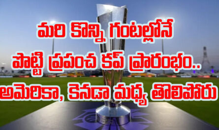 T20 World Cup