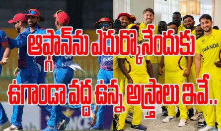 T20 World Cup Afghanistan vs Uganda