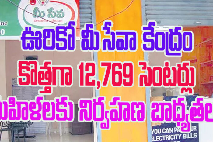 Mee Seva Center: ఊరికో మీ సేవా కేంద్రం