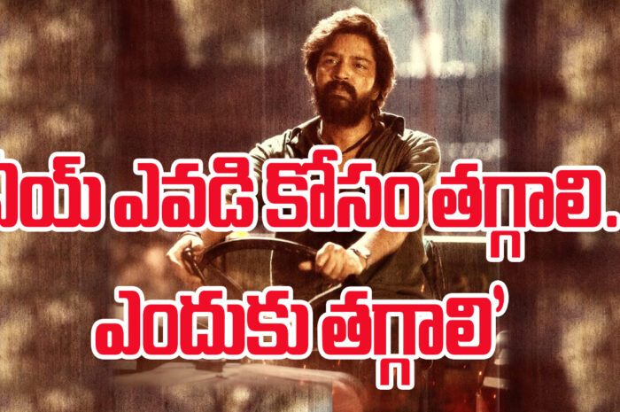 Allari Naresh Bachhala Malli: అల్లరోడి మాస్ మూవీ బచ్చల మల్లి