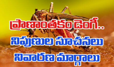 Symptoms of Dengue, Remedy