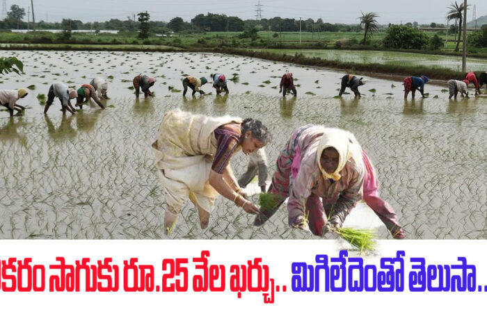 agriculture: ఎకరం సాగుకు రూ.25 వేల ఖర్చు.. మిగిలేదెంతో తెలుసా?