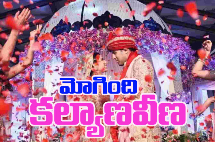 Marriage Celebration: మోగింది కల్యాణవీణ