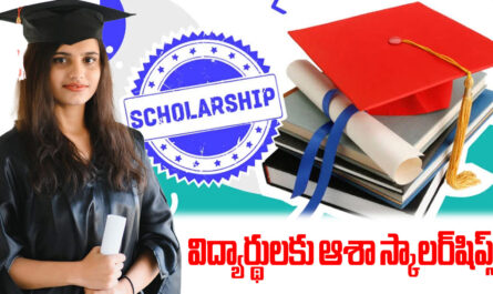 Asha Scholarships