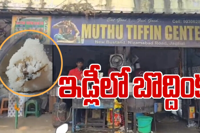 Cockroach in Idli: ఇడ్లీలో బొద్దింక