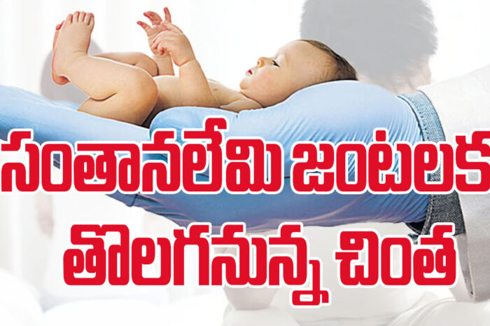 IVF Centers: సంతానలేమి జంటలకు తొలగనున్న చింత