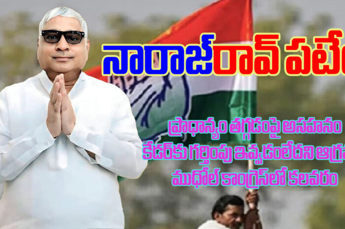 Narayan Rao Patil: నారాజ్‌రావ్ పటేల్