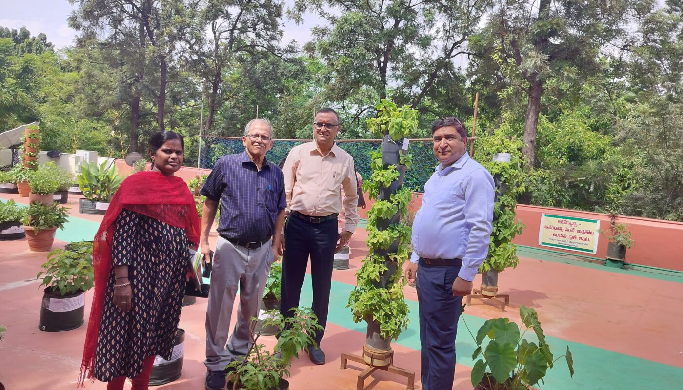 Terrace Gardening