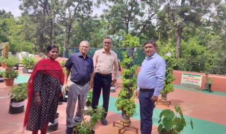 Terrace Gardening