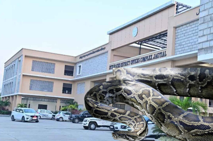 Jagityal Collectorate: కలెక్టరేట్‌లో కొండచిలువ?
