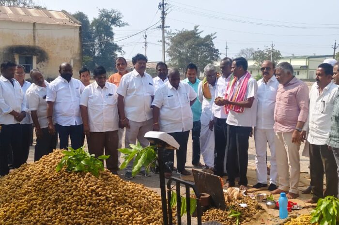 Turmeric purchases begin: మెట్‌పల్లి మార్కెట్‌లో పసుపు కొనుగోళ్లు ప్రారంభం