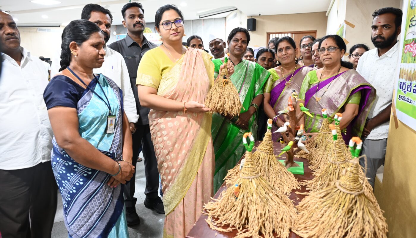 Collector Abhilasha Abhinav