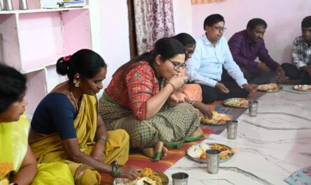 Collector Abhilasha Abhinav