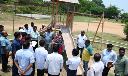 Collector Abhilasha Abhinav