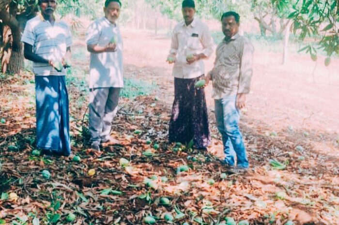 Hailstorms: వడగండ్ల వానతో నష్టపోయిన రైతులను ఆదుకోవాలి: తెలంగాణ రాష్ట్ర రైతు సంఘం మండల అధ్యక్షులు కోమటిరెడ్డి జైపాల్ రెడ్డి