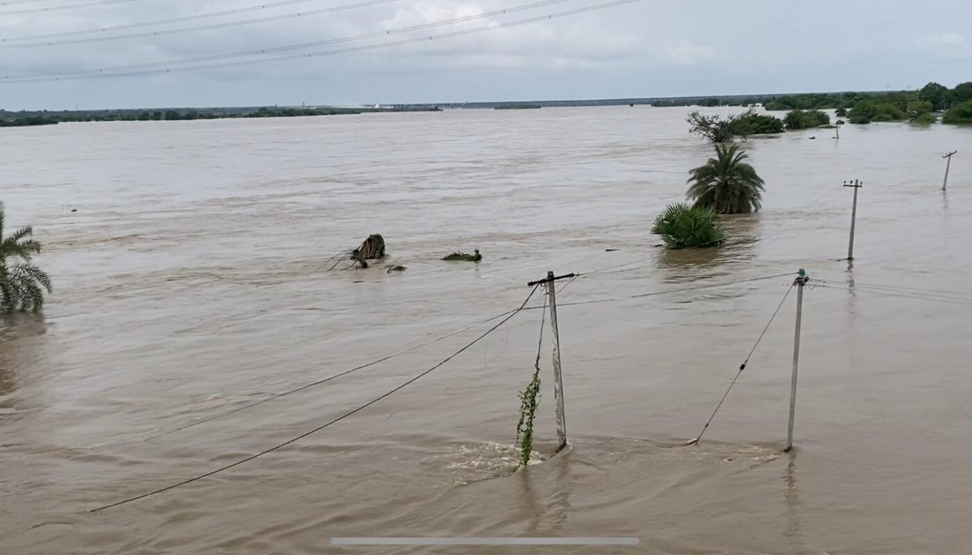 Godavari floods cattle missing Nirmal district
