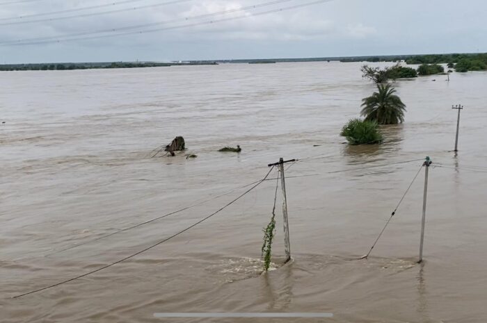 Godavari floods cattle missing Nirmal district: ఐదు రోజులుగా కుర్రులోనే 300 బర్రెలు
