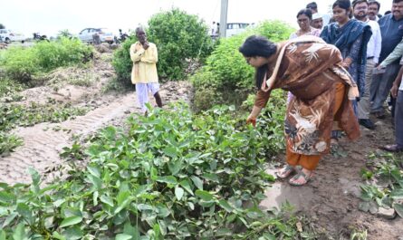 Nirmal crop loss compensation assurance Collector Abhilash Abhinav