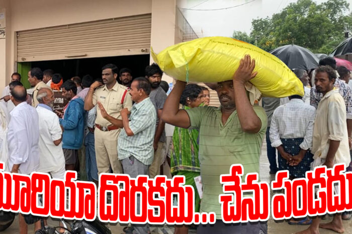 Urea shortage troubles farmers in Nirmal: యూరియా దొరకదు.. చేను పండదు..!