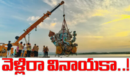Ganesh Immersion Nirmal Peaceful Celebrations